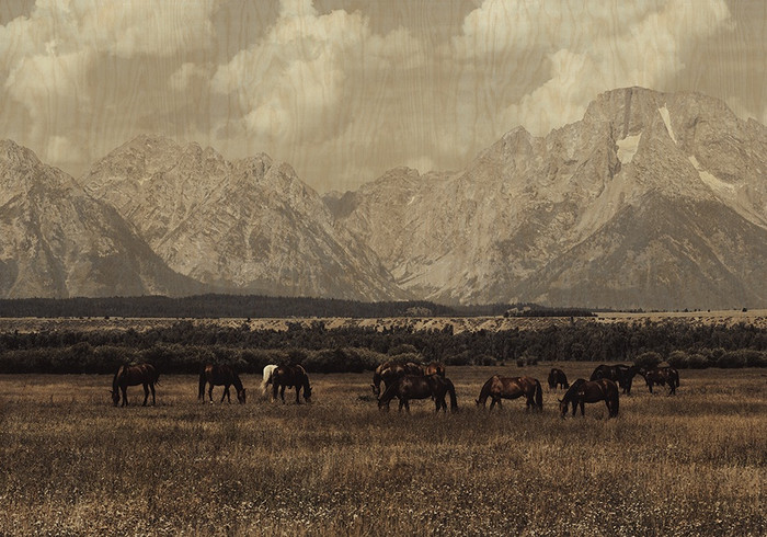 Wild West Legends I, David Chase Furniture, Steamboat Springs, Colorado - Full
