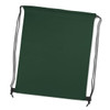A green drawstring backpack with black accents and a simple design. It includes a logo on one side.