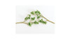 Bachmann Wire Foliage Branches Light Green (60) 32645