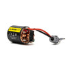 Spektrum SPMXSM5205 Firma 20T Rebuildable 5-Pole Brushed Crawler Motor