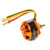 Spektrum SPMXAM4675 Avian 4240-1000Kv Outrunner Brushless Motor