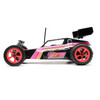 Losi LOS01020T3 1/16 Mini JRX2 Brushed 2WD Buggy RTR Black