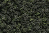 Woodland Scenics Underbrush Clump Foliage Forest Blend FC139