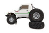 Associated 40118 1/10 Enduro Bushido Off-Road 4x4 Rock Crawler RTR