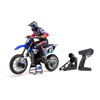 Losi LOS06000T2 1/4 Promoto-MX Motorcycle RTR, FXR Blue
