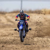 Losi LOS06000T2 1/4 Promoto-MX Motorcycle RTR, FXR Blue