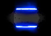 Traxxas 10590-BLUE Complete Underbody LED Light Kit Blue for 4-Tec 2.0