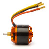 Spektrum SPMXAM4700 Avian 4250-800Kv Outrunner Brushless Motor