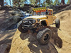 Associated 40124C Element RC Enduro Trail Truck, Zuul Tan RTR Lipo Combo