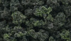 Woodland Scenics Scene-A-Rama Bushes