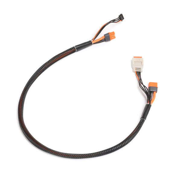 Spektrum SPMX-1014 Charge Lead w/ Balance Extension 24" / IC3 Connector, 2-4S