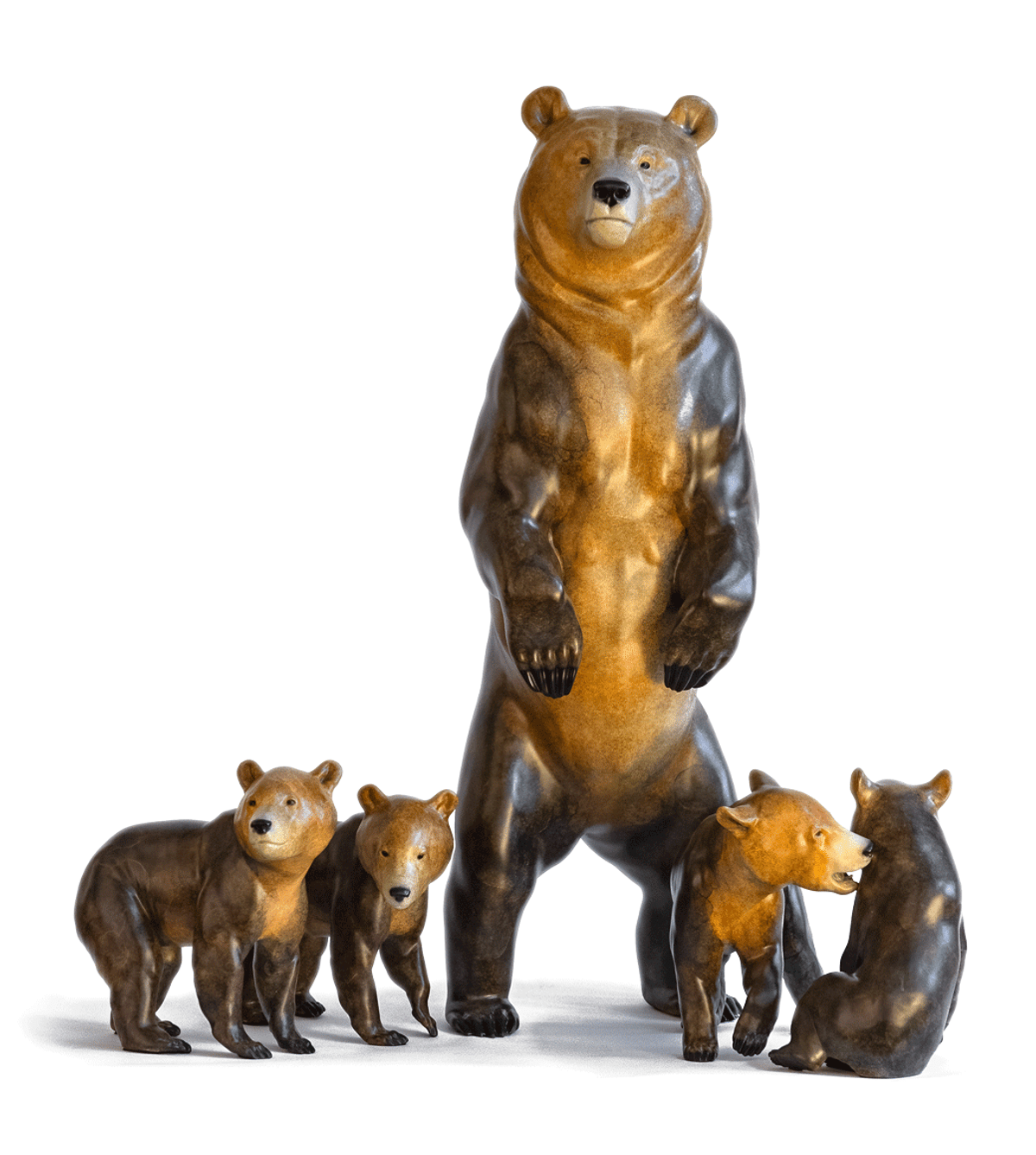 Grizzly 399 in 3D