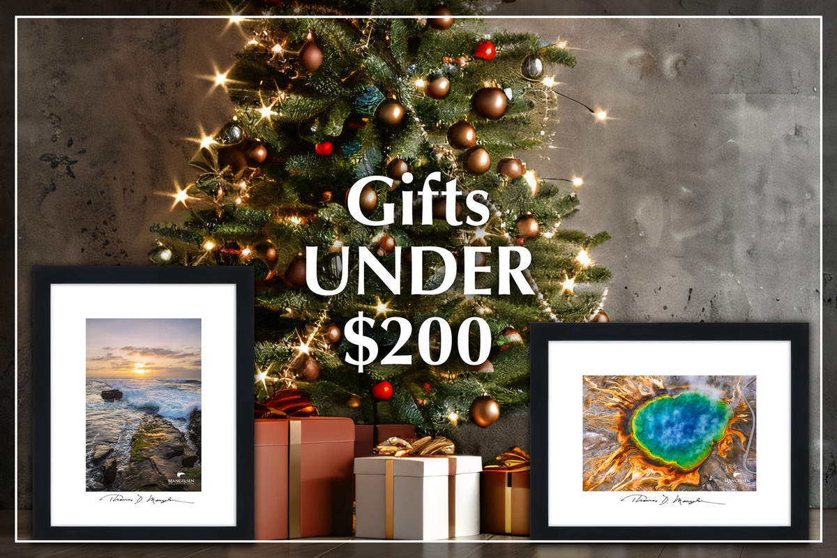 Nature & Wildlife-Inspired Gifts Under $200
