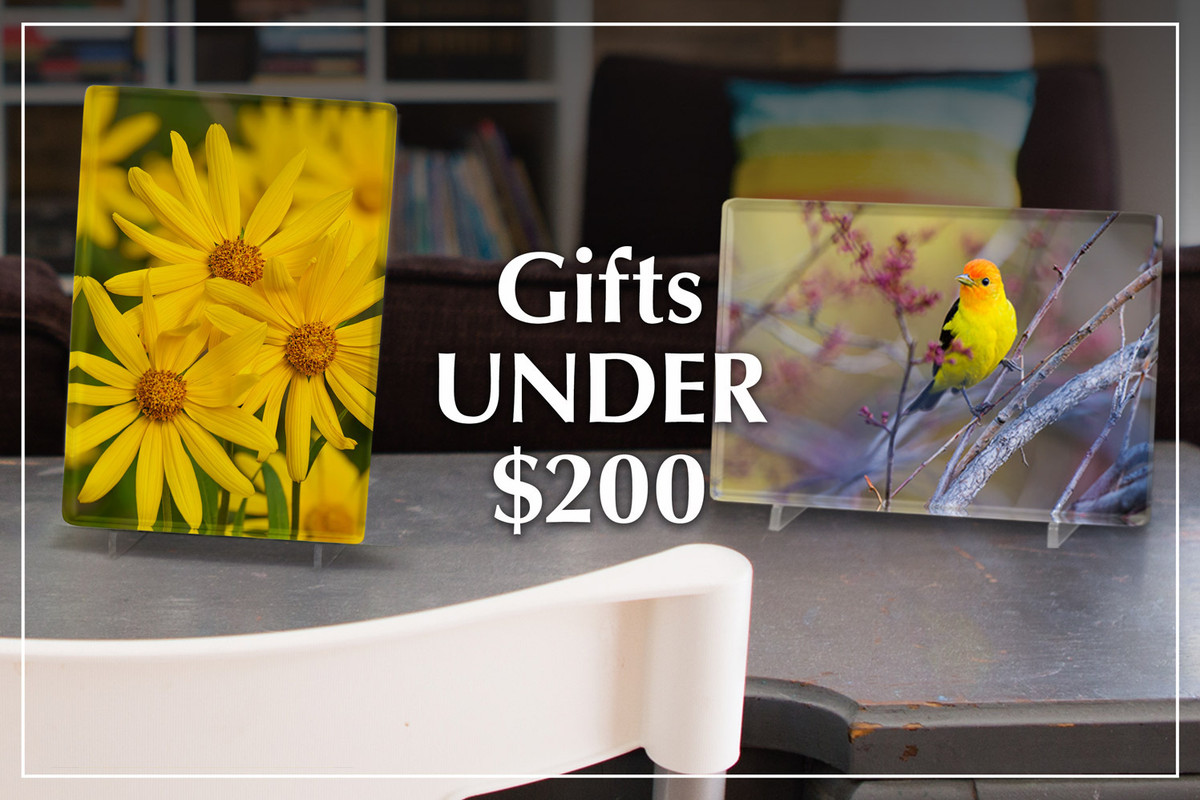 Find Mangelsen Gifts Under $200