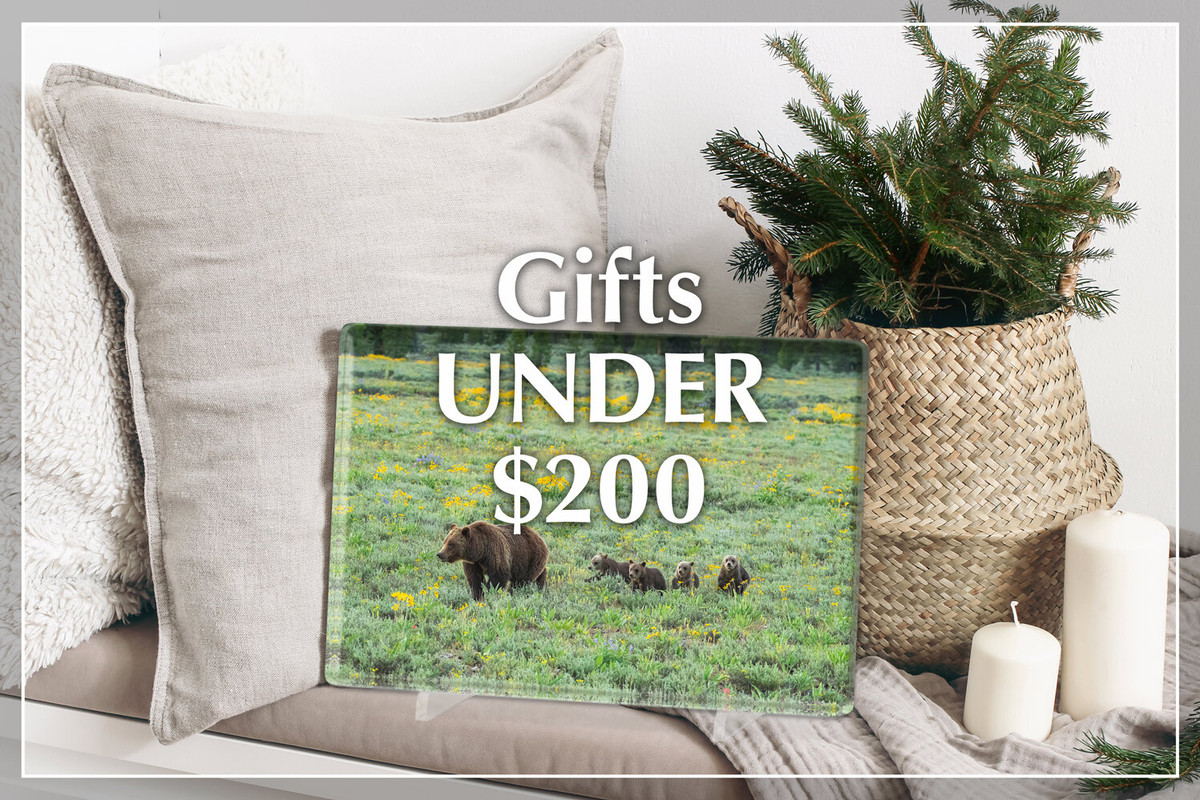 Find Mangelsen Gifts Under $200
