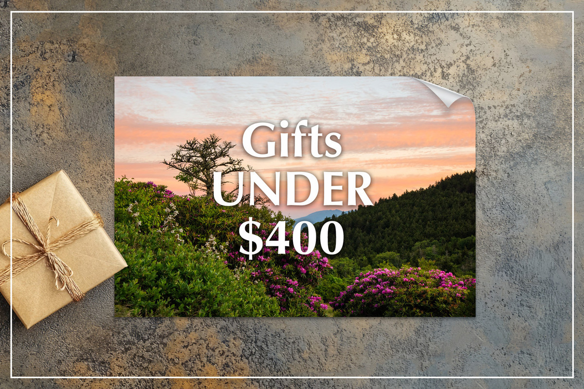 Find Mangelsen Gifts Under $400