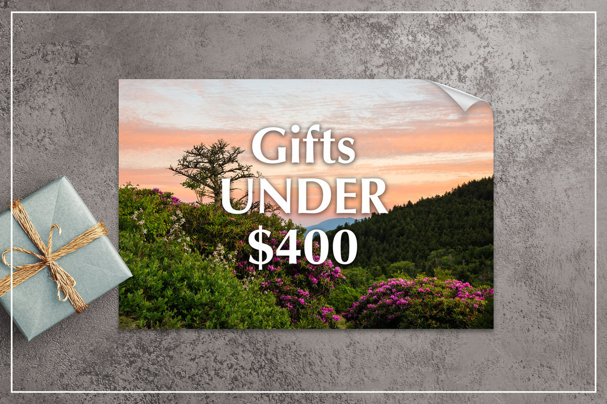 Find Mangelsen Gifts Under $400