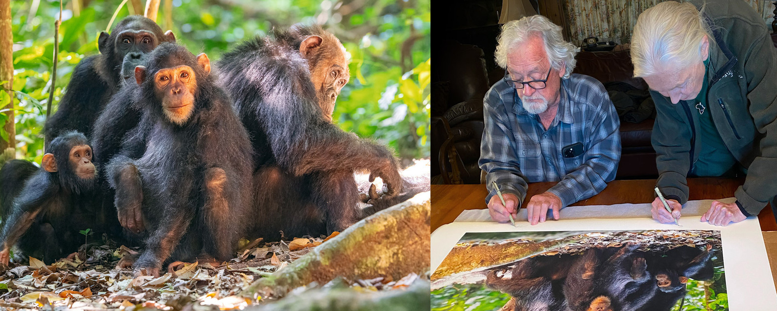 Mangelsen and Goodall signing limited edition prints of a Gombe chimpanzee family