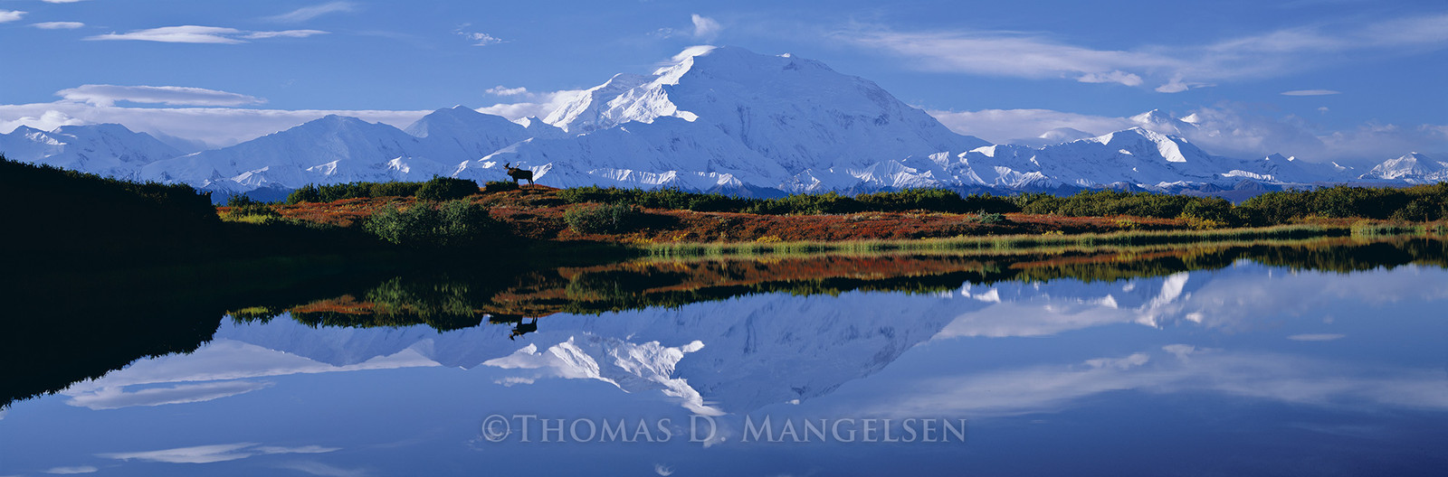 Reflections of Denali