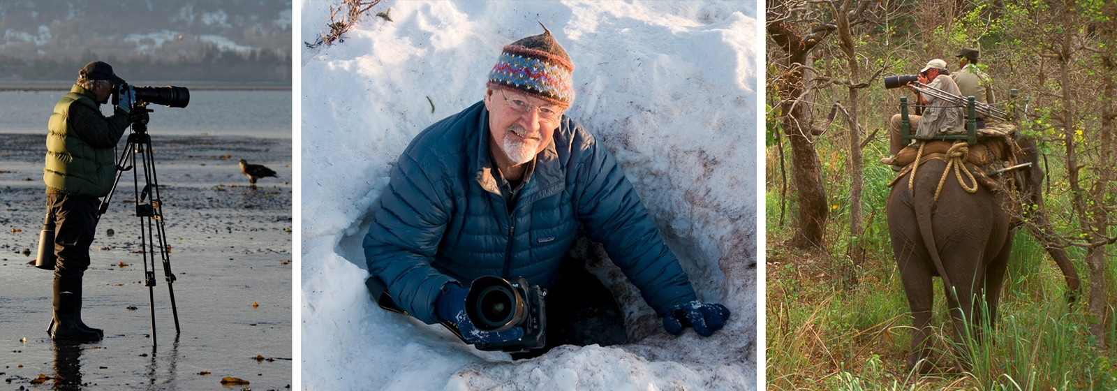 In the field with Thomas D. Mangelsen