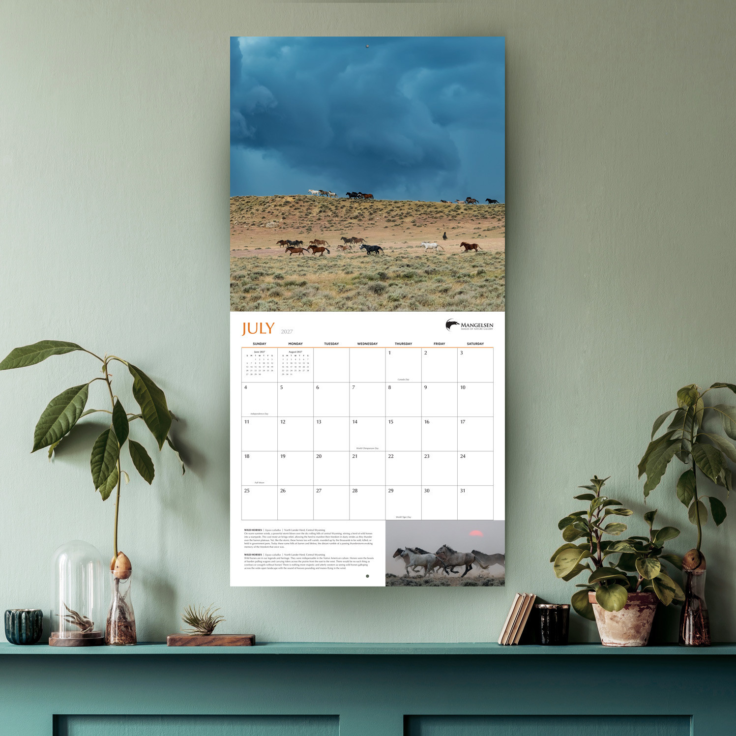The 2027 Images of Nature Calendar by Thomas D. Mangelsen