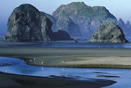 Oregon