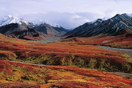 Alaska