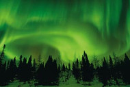 Green tones