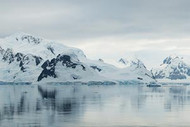 Antarctic