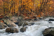 Tennessee