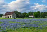 Texas