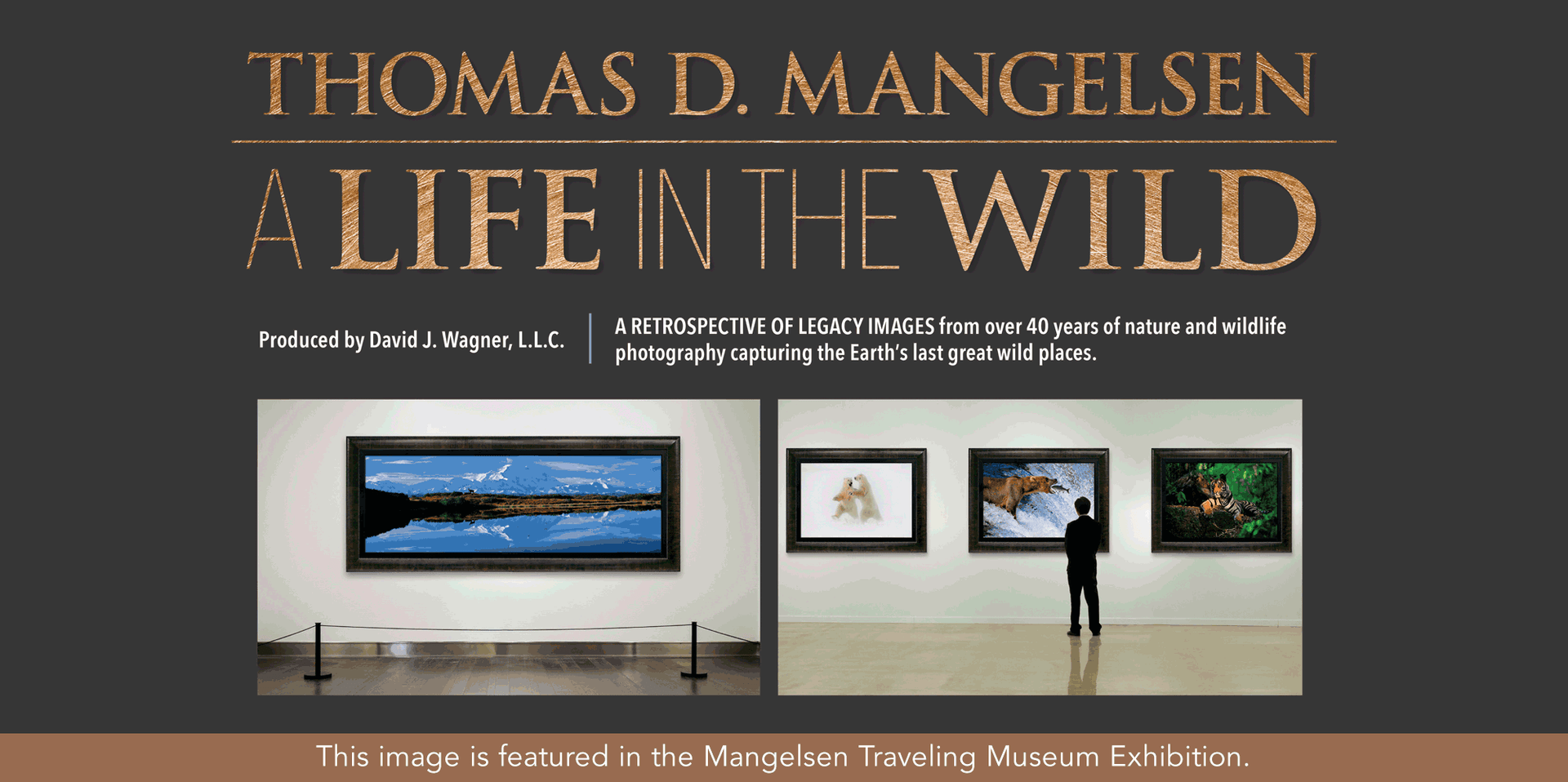 Out of Darkness - Eagle by Thomas D. Mangelsen