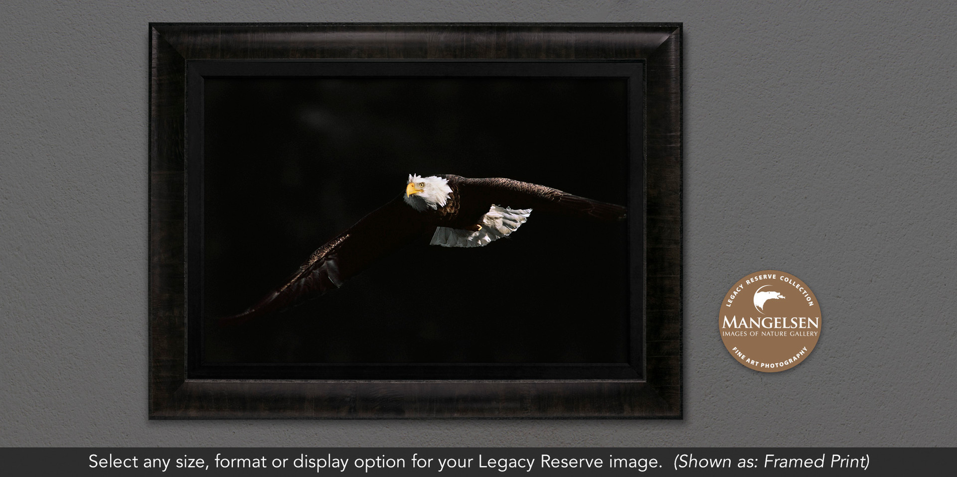 Out of Darkness - Eagle by Thomas D. Mangelsen