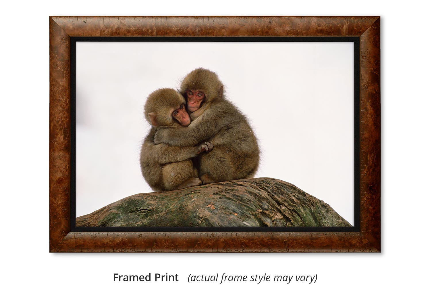 ♡monkeyページ♡ Bosom Buddies - Snow Monkeys by Thomas D. Mangelsen