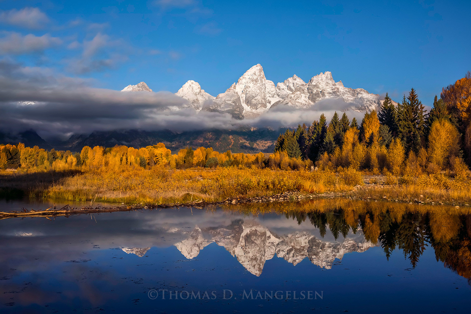 【完売】ROCKY MOUNTAIN GRAND TETON 42 美品 美品 ロッキーマウンテンGT MC Jacket 42 エメラルド L ダウン - メルカリ