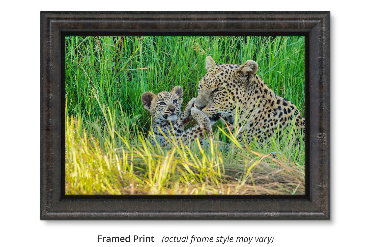 David cutler　mothers love 飾り絵 Mother leopard and cub wall art titled Mother's Love, Mangelsen