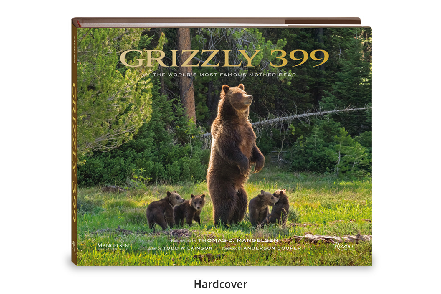 Grizzly 399 Deluxe Leather Book by Thomas D. Mangelsen