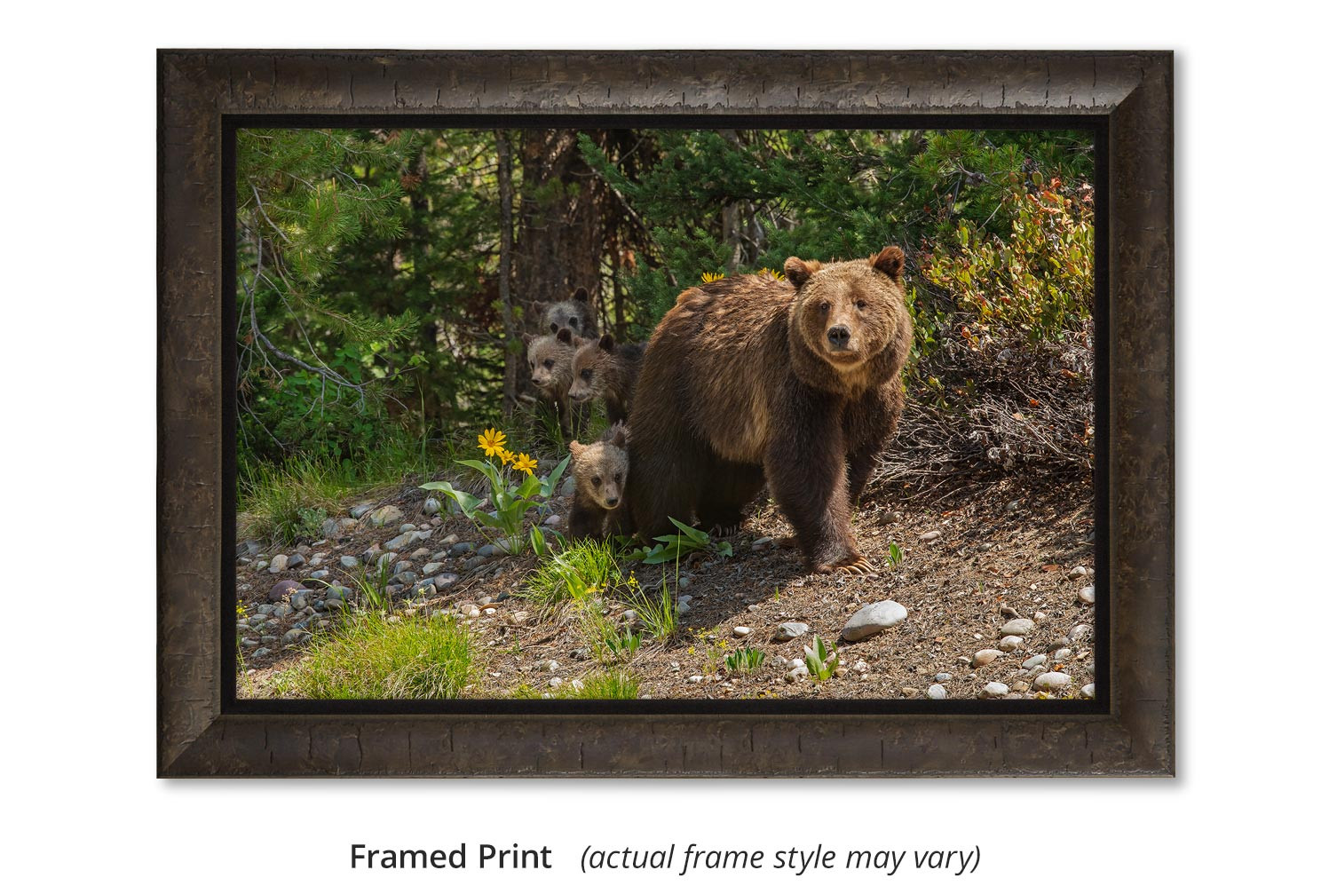 Mangelsen wall art of Mom grizzly bear with cubs