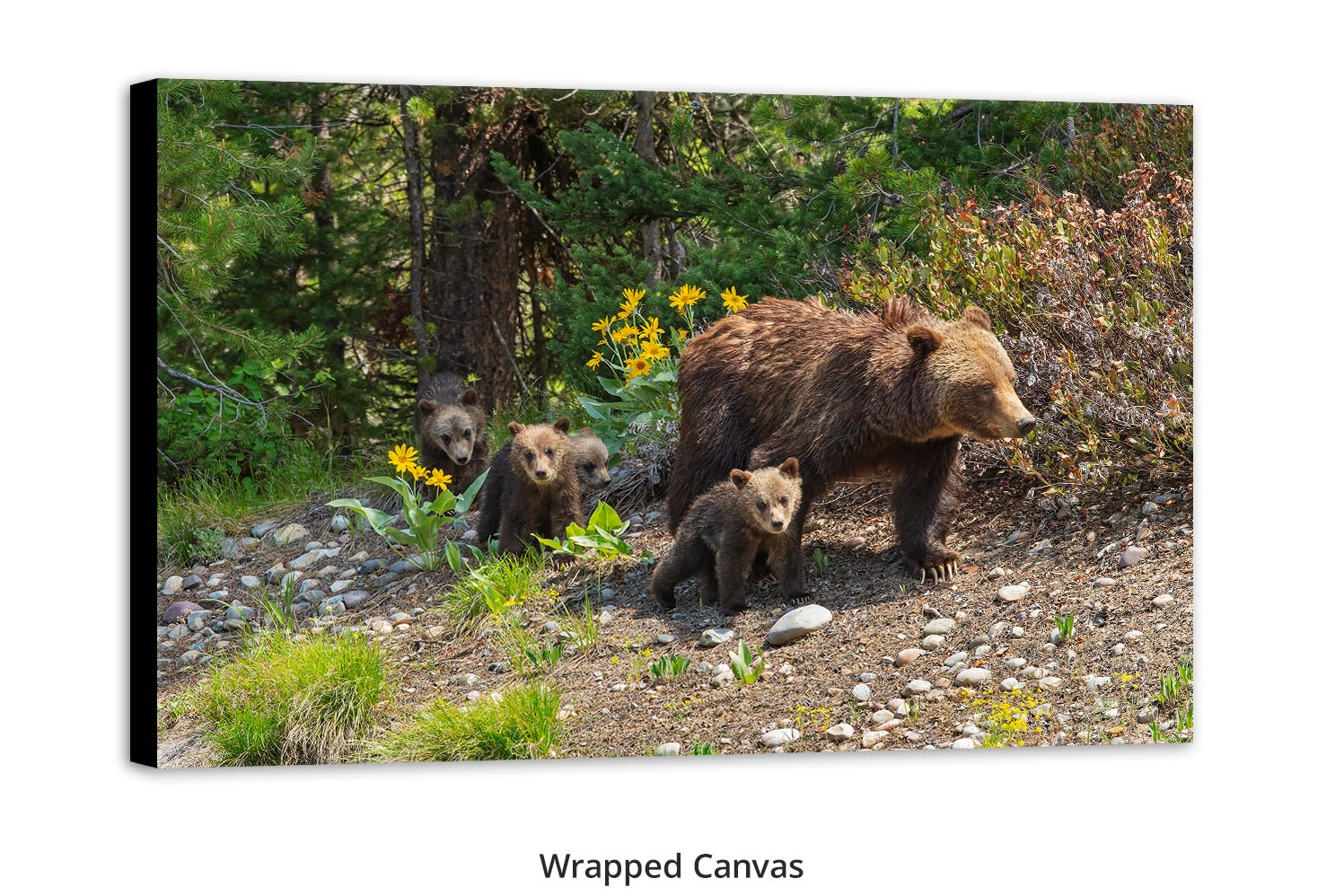 Momma grizzly bear with cubs wall art by Mangelsen
