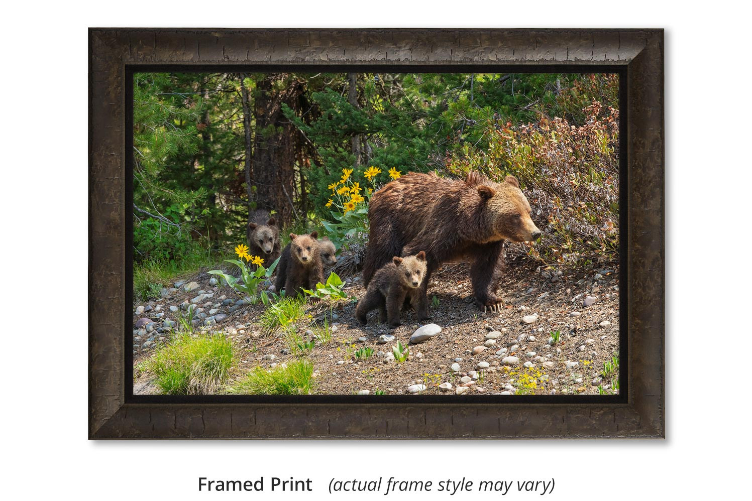 Momma grizzly bear with cubs wall art by Mangelsen