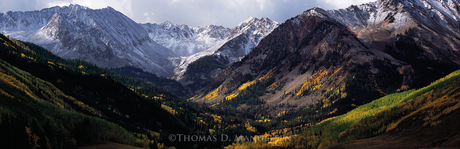 Edge of Autumn - Elk Mountains by Thomas D. Mangelsen
