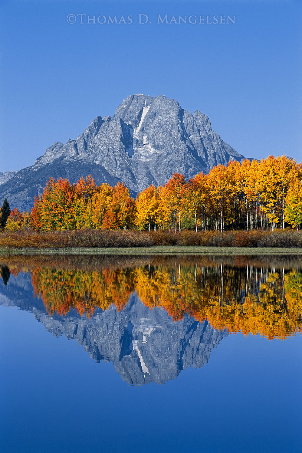 morethan(モアザン) SHOOTING STAR MT85MLX Mt Moran Reflection by Thomas D. Mangelsen