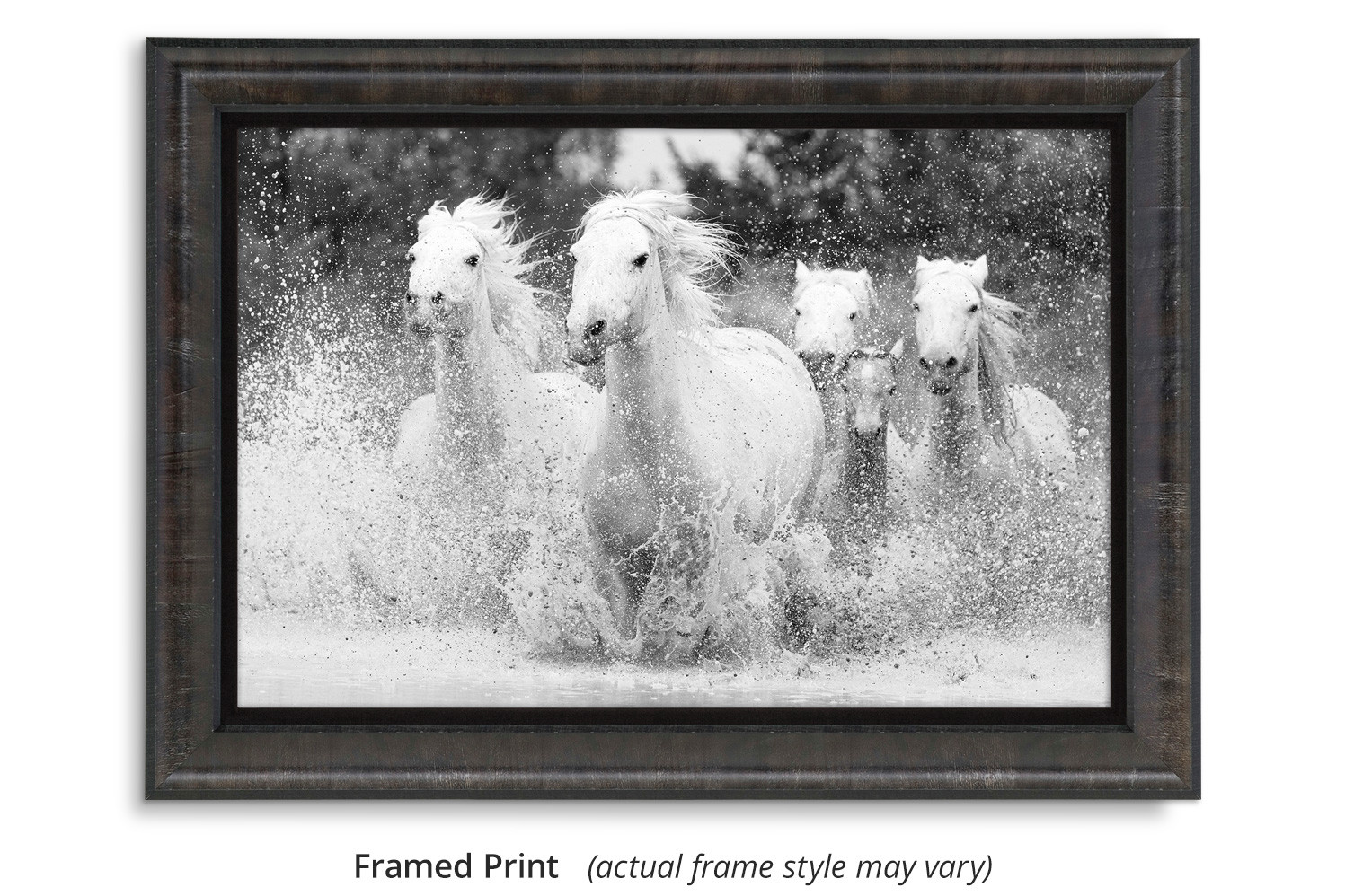 Born to Run wall art of wild Camargue horses Thomas D. Mangelsen