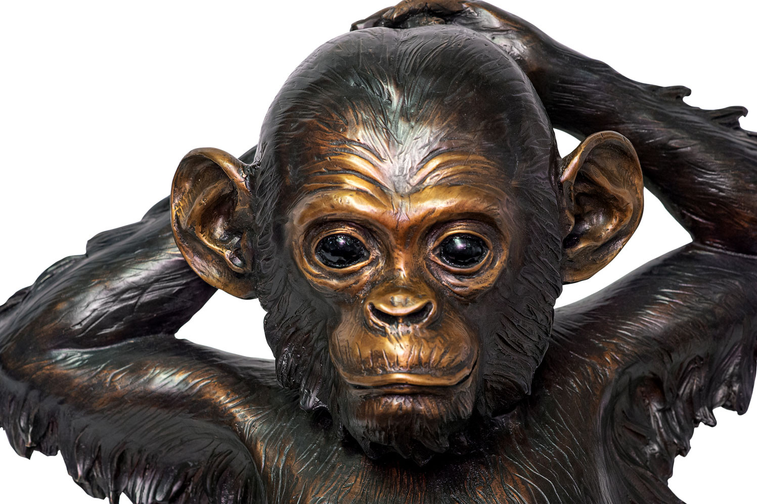 Laid Back Chimpanzee Small Bronze Sculpture by Thomas D. Mangelsen