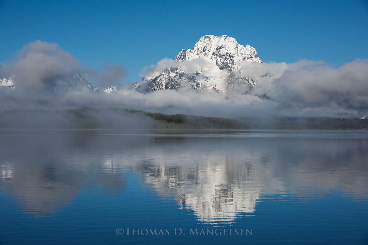Rising Fog - Mount Moran by Thomas D. Mangelsen