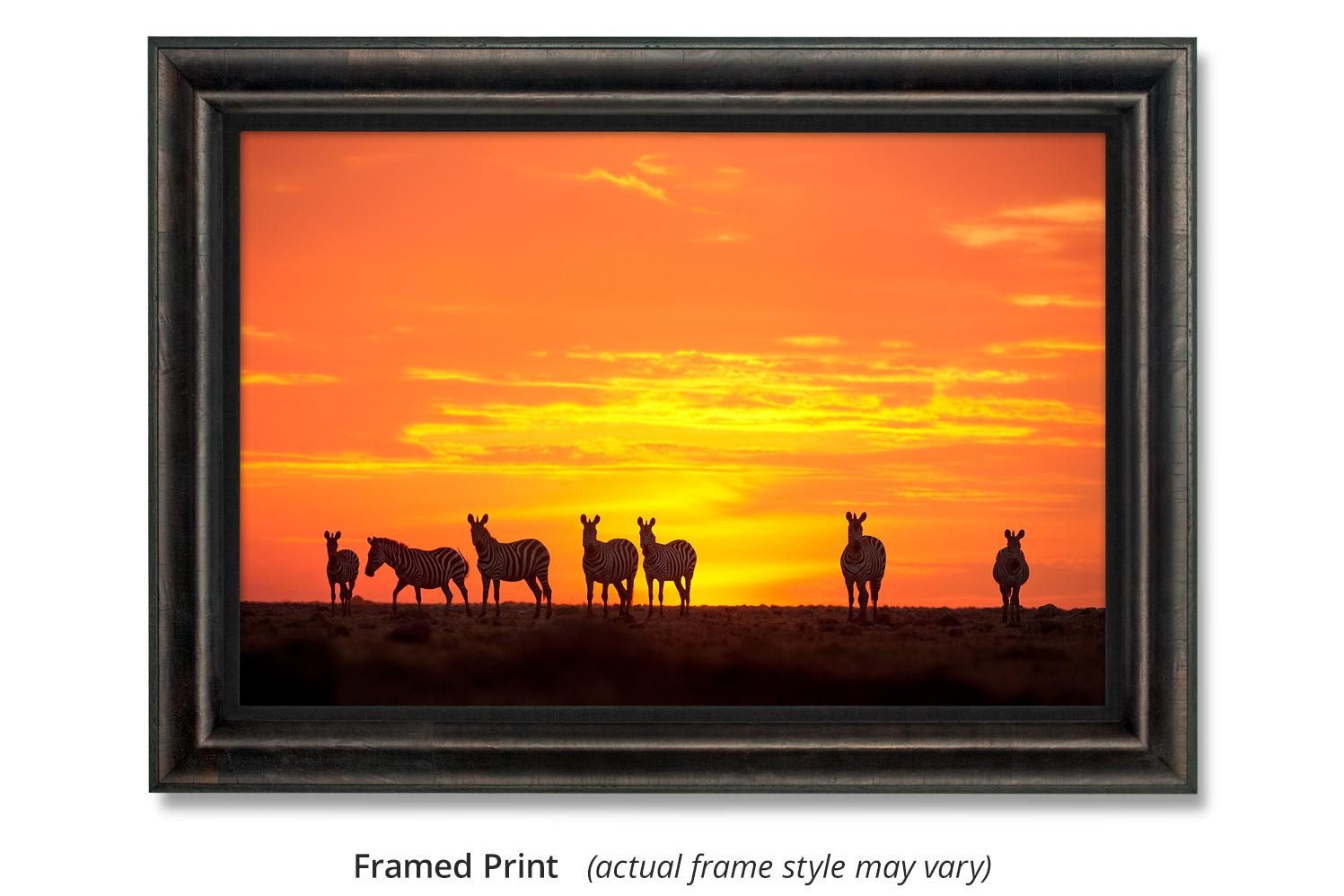Fire on the Horizon - Zebras by Thomas D. Mangelsen