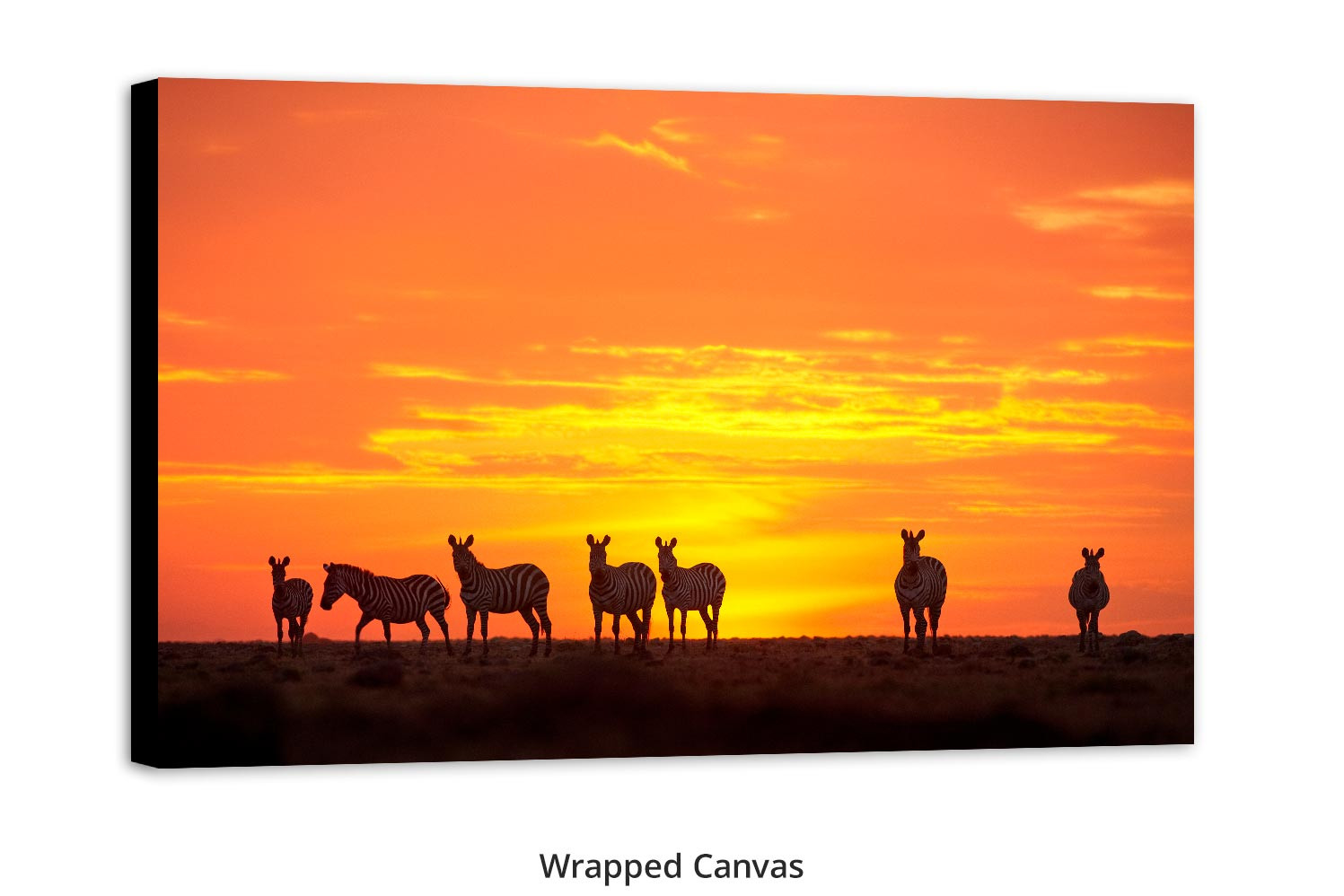 Fire on the Horizon - Zebras by Thomas D. Mangelsen