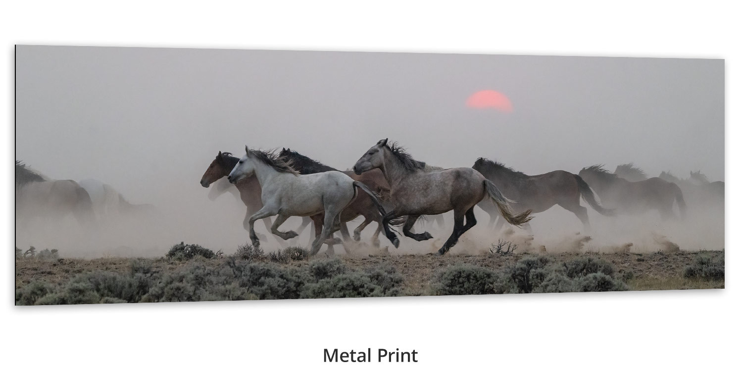 Herd of Wild Horses living room wall art by Mangelsen