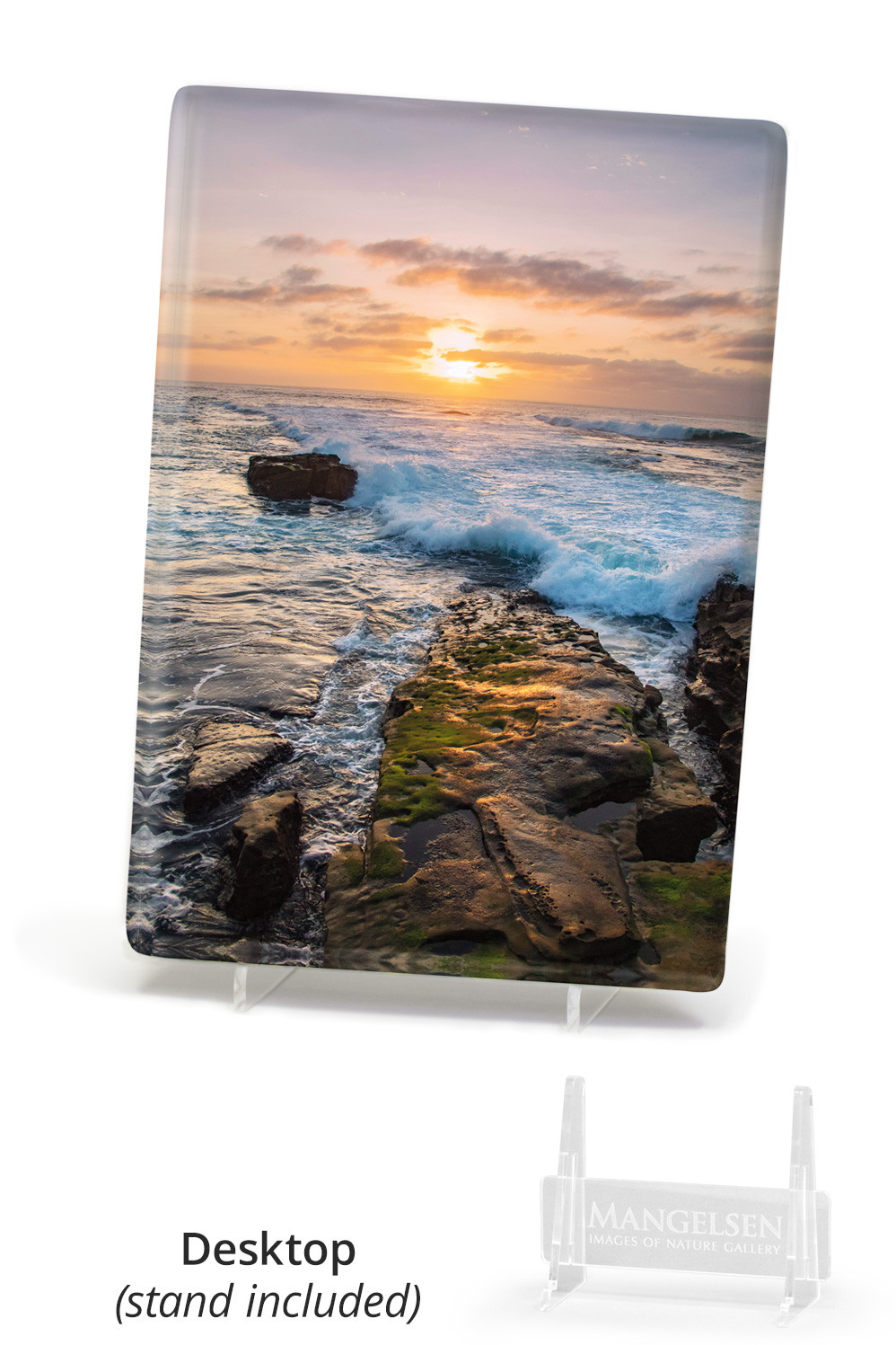 La Jollaさん専用 La Jolla Nightfall by Thomas D. Mangelsen