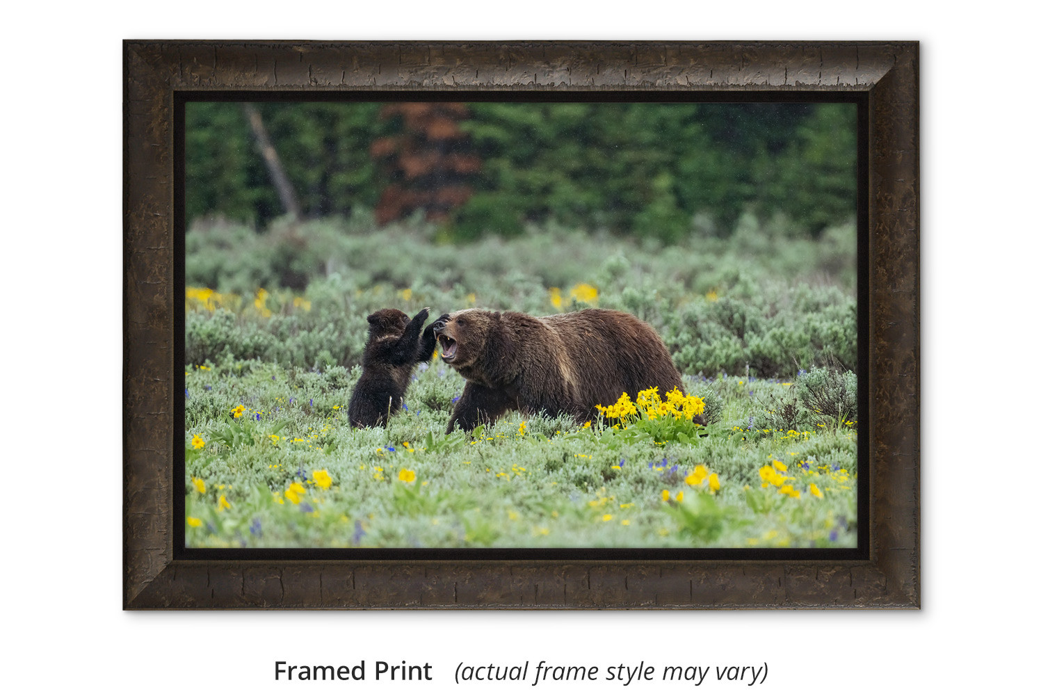 Grizzly Bear wall art Mom Playing with Cub Mangelsen